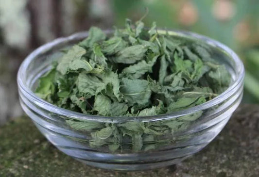 The Benefits of Dried Spearmint: A Must-Have for Aromatherapy, Health, and Tea Lovers