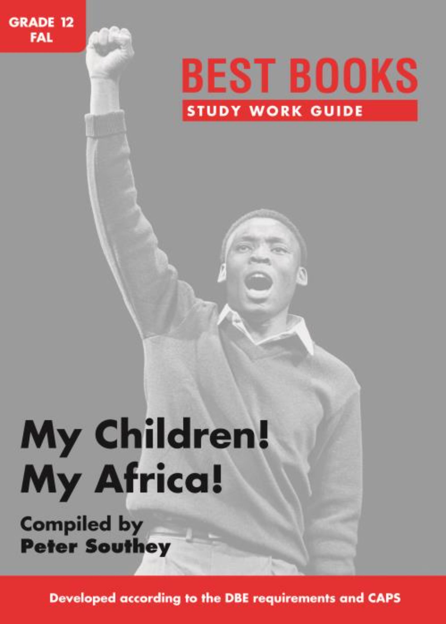 Best Books Study Guides Study Work Guide: My Children! My Africa! Gr. 12 FAL (drama) ISBN/SKU: 9781776070596