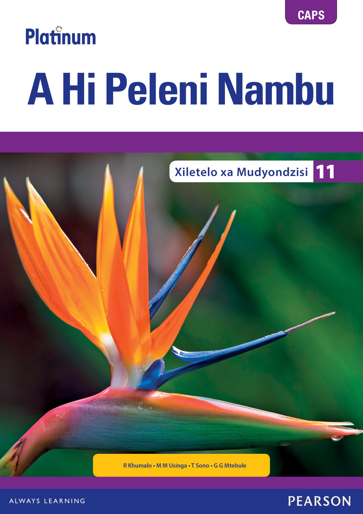 Platinum A Hi Peleni Nambu Gr 11 TG with Control Test Book ISBN/SKU: 9780636136441