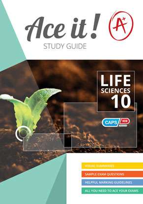 Ace It! Life Sciences Grade 10 (Afrik) ISBN/SKU: 9781920356156