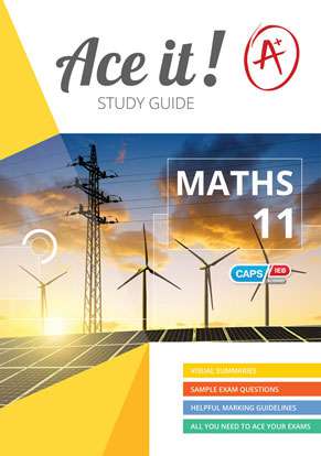 Ace it! Mathematics Grade 11 ISBN/SKU: 9781920356316