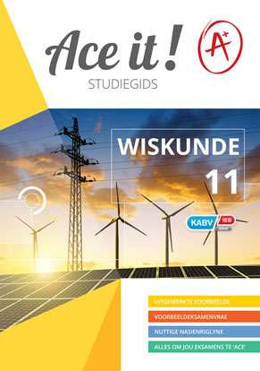 Ace it! Wiskunde Graad 11 ISBN/SKU: 9781920356323