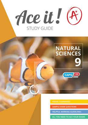 Ace it! Natural Sciences Grade 9 ISBN/SKU: 9781920356491