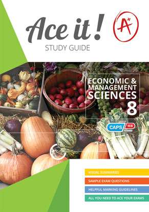 Ace It! Ems Grade 8 ISBN/SKU: 9781920356552