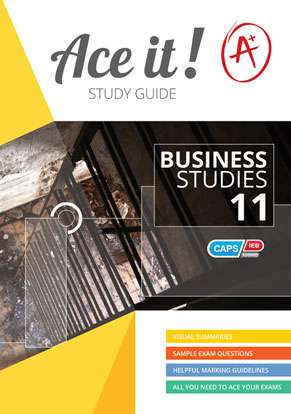 Ace It! Business Studies Grade 11 ISBN/SKU: 9781920356651