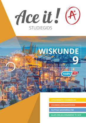Ace it! Wiskunde Graad 9 ISBN/SKU: 9781920356859