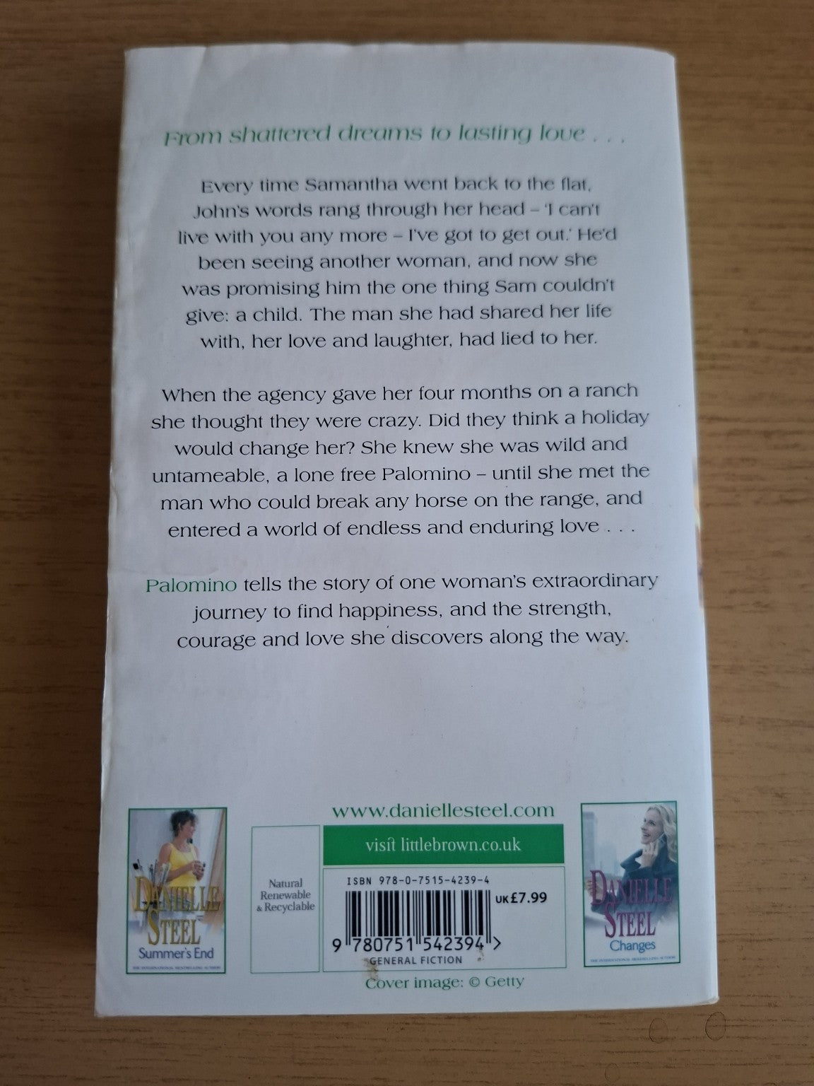 Palomino by Danielle Steel – Second Hand