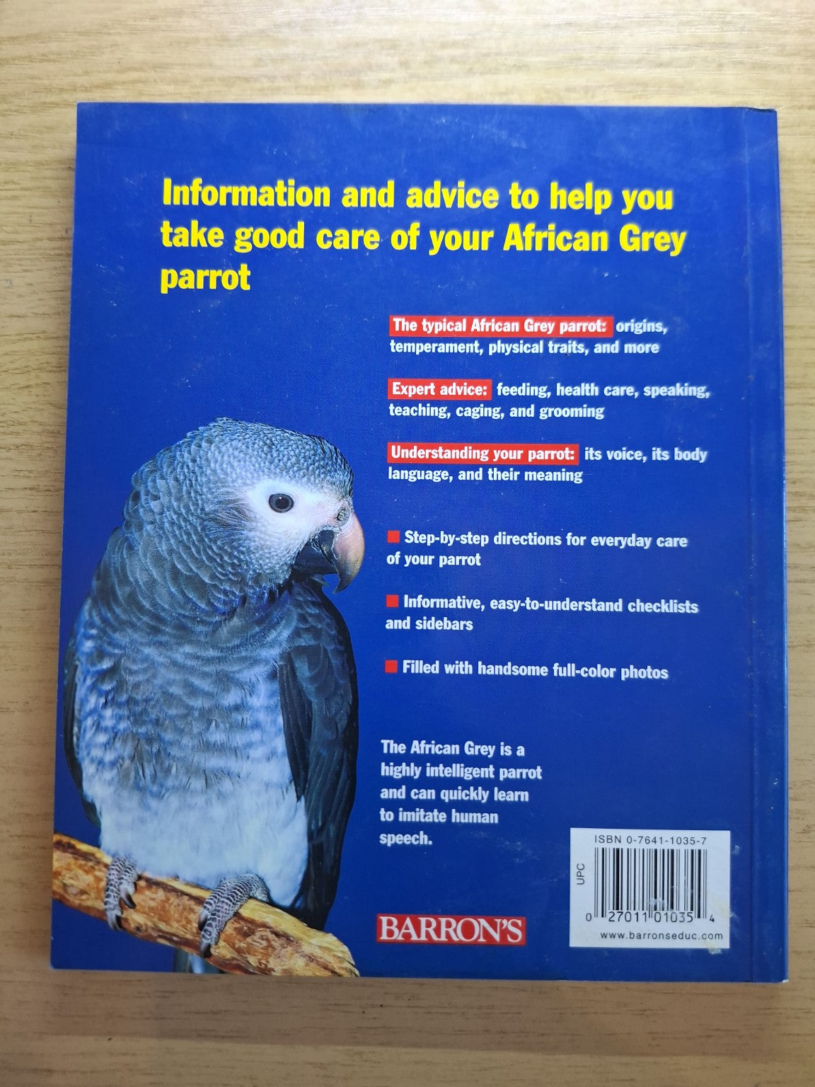 African Grey Parrots (Second Hand)