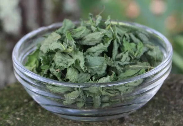 The Benefits of Dried Spearmint: A Must-Have for Aromatherapy, Health, and Tea Lovers