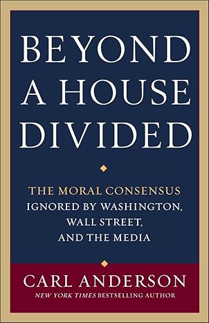 Beyond a House Divided – Carl Anderson (Second Hand)