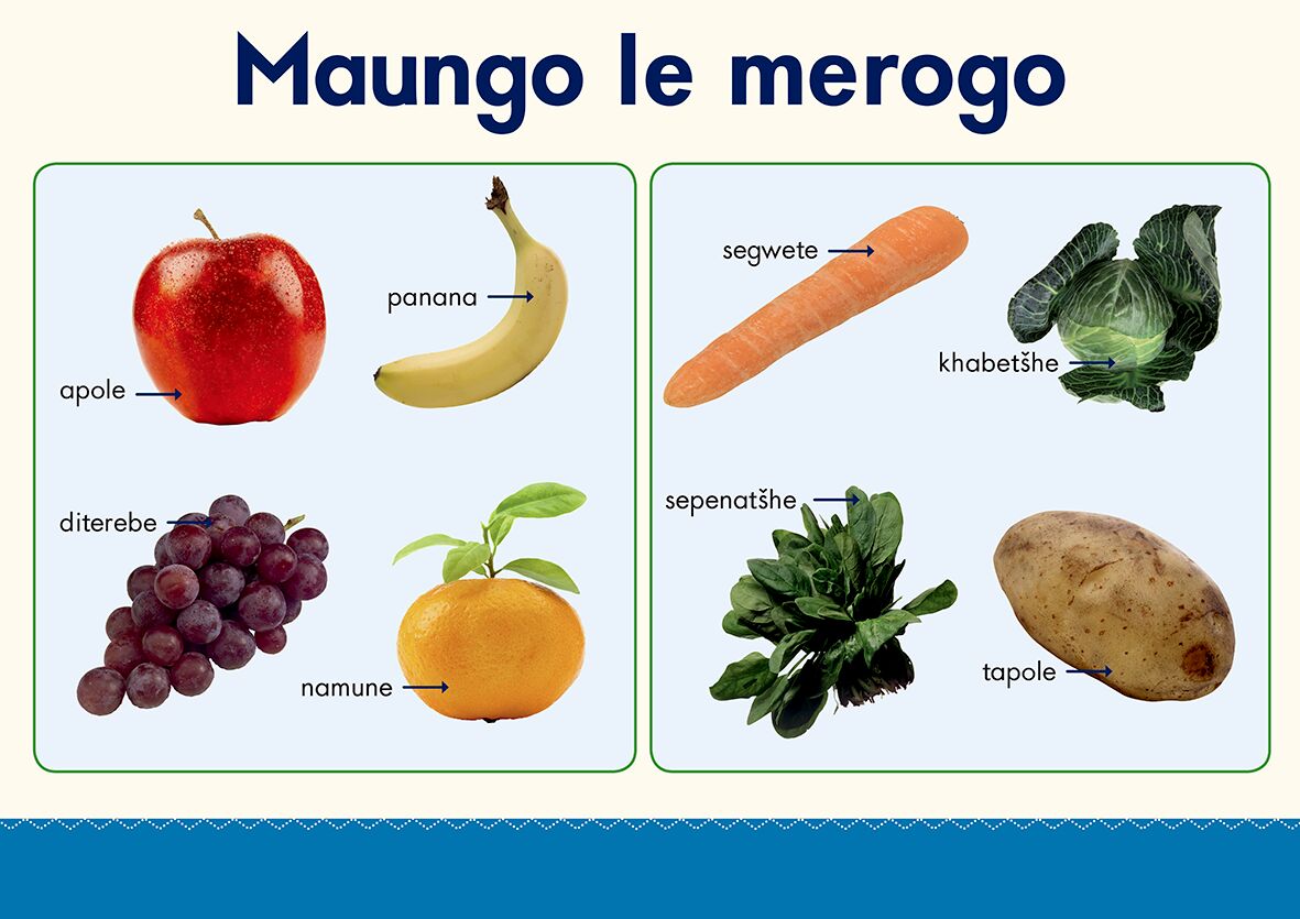 Oxford Gr R Poster 14 (Setswana) ISBN/SKU: 9780190410810