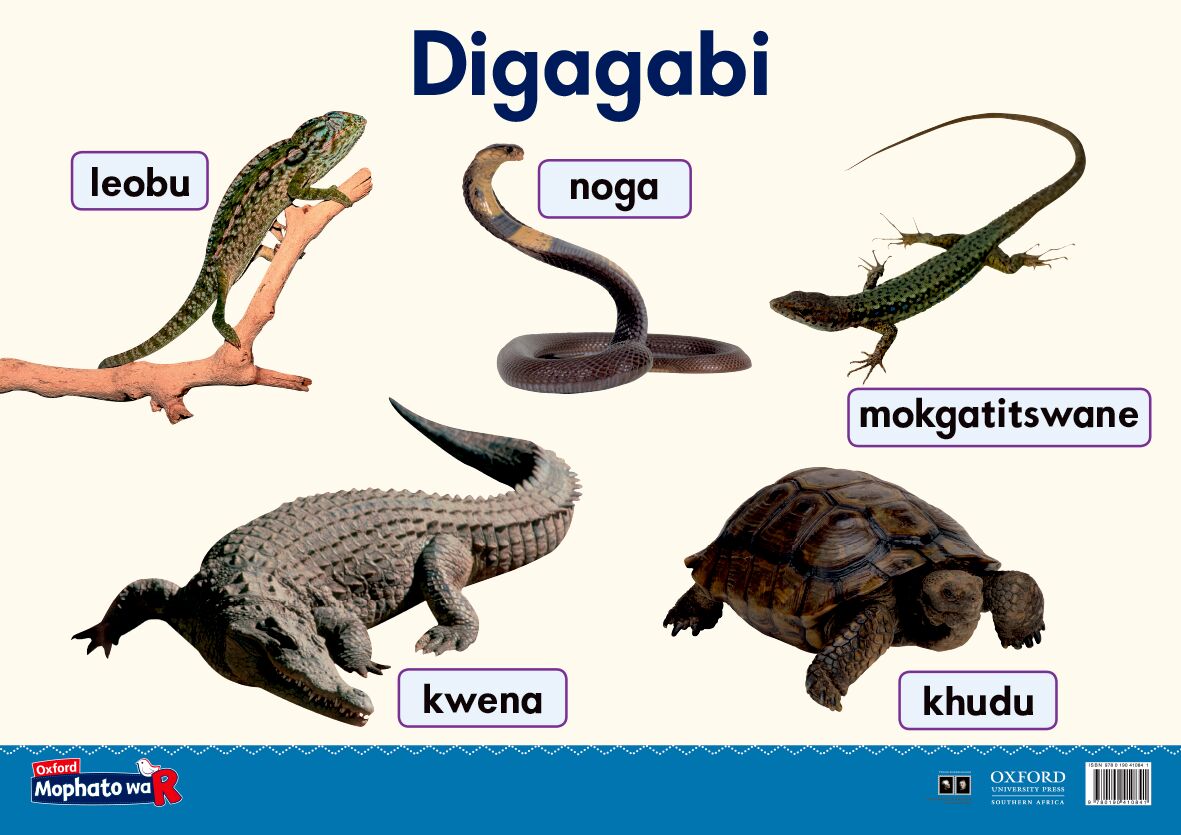 Oxford Gr R Poster 17 (Setswana) ISBN/SKU: 9780190410841