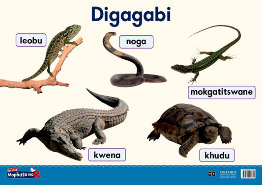 Oxford Gr R Poster 17 (Setswana) ISBN/SKU: 9780190410841