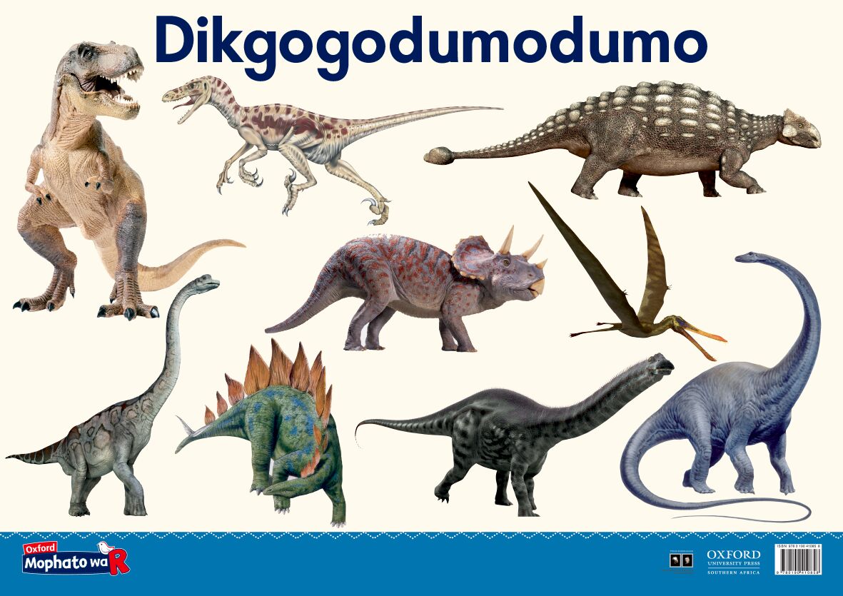 Oxford Gr R Poster 18 (Setswana) ISBN/SKU: 9780190410858