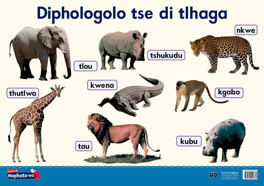 Oxford Gr R Poster 19 (Setswana) ISBN/SKU: 9780190410865