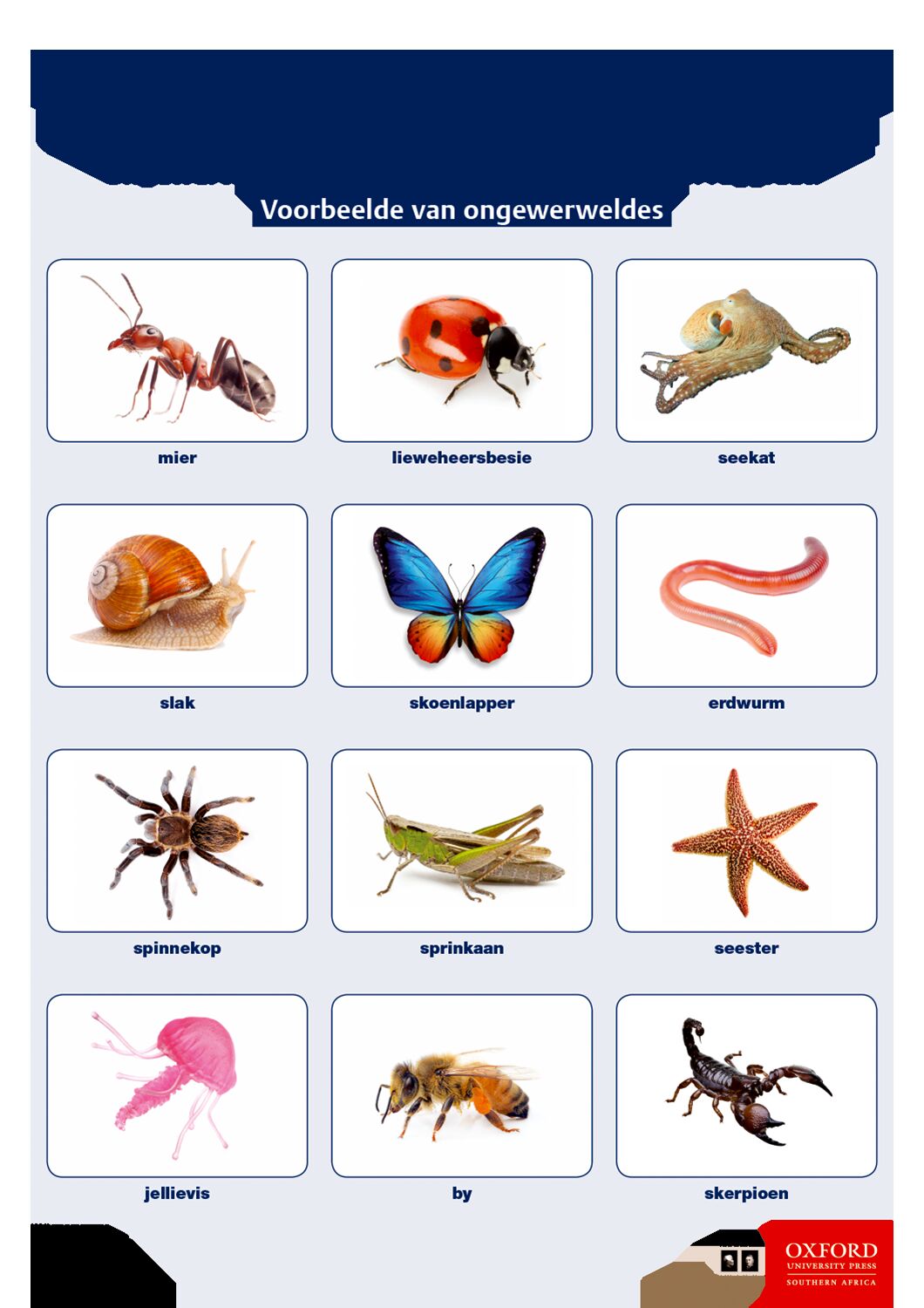 Poster NWT Gr5 Ongewerweldes ISBN/SKU: 9780190413965