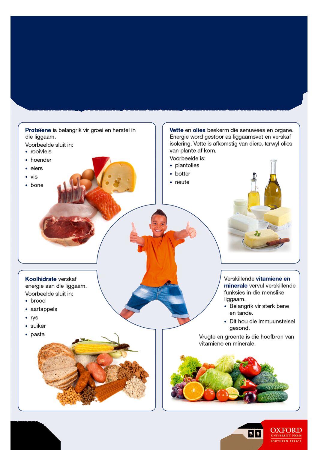 Poster NWT Gr6 Voedselgroepe en funksies ISBN/SKU: 9780190414146