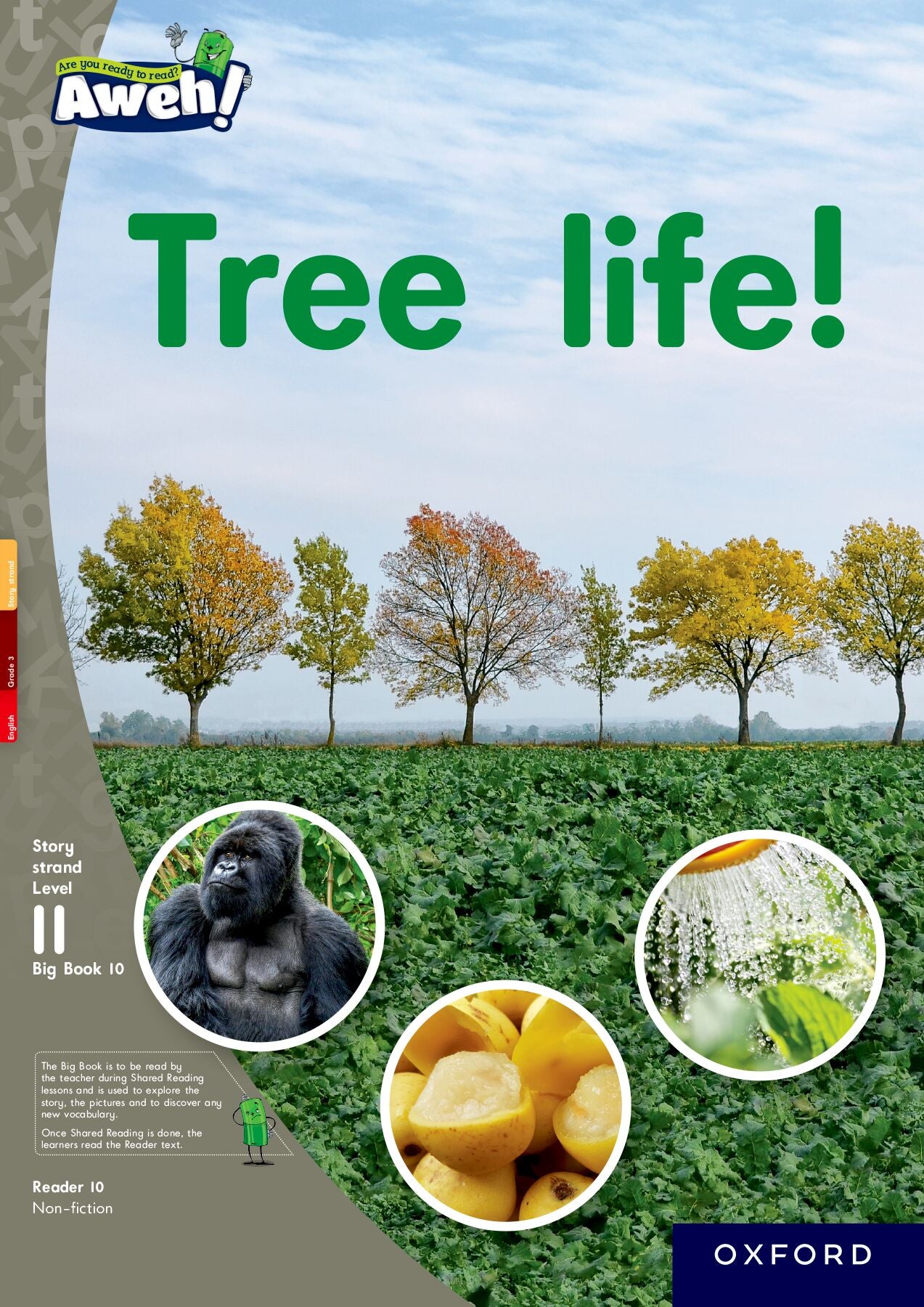 Aweh! English Gr3 L11 BB2 ISBN/SKU: 9780190752064