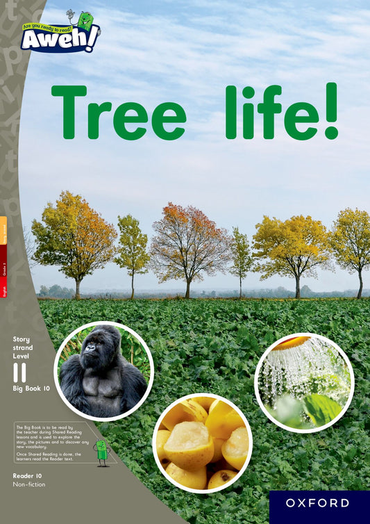 Aweh! English Gr3 L11 BB2 ISBN/SKU: 9780190752064