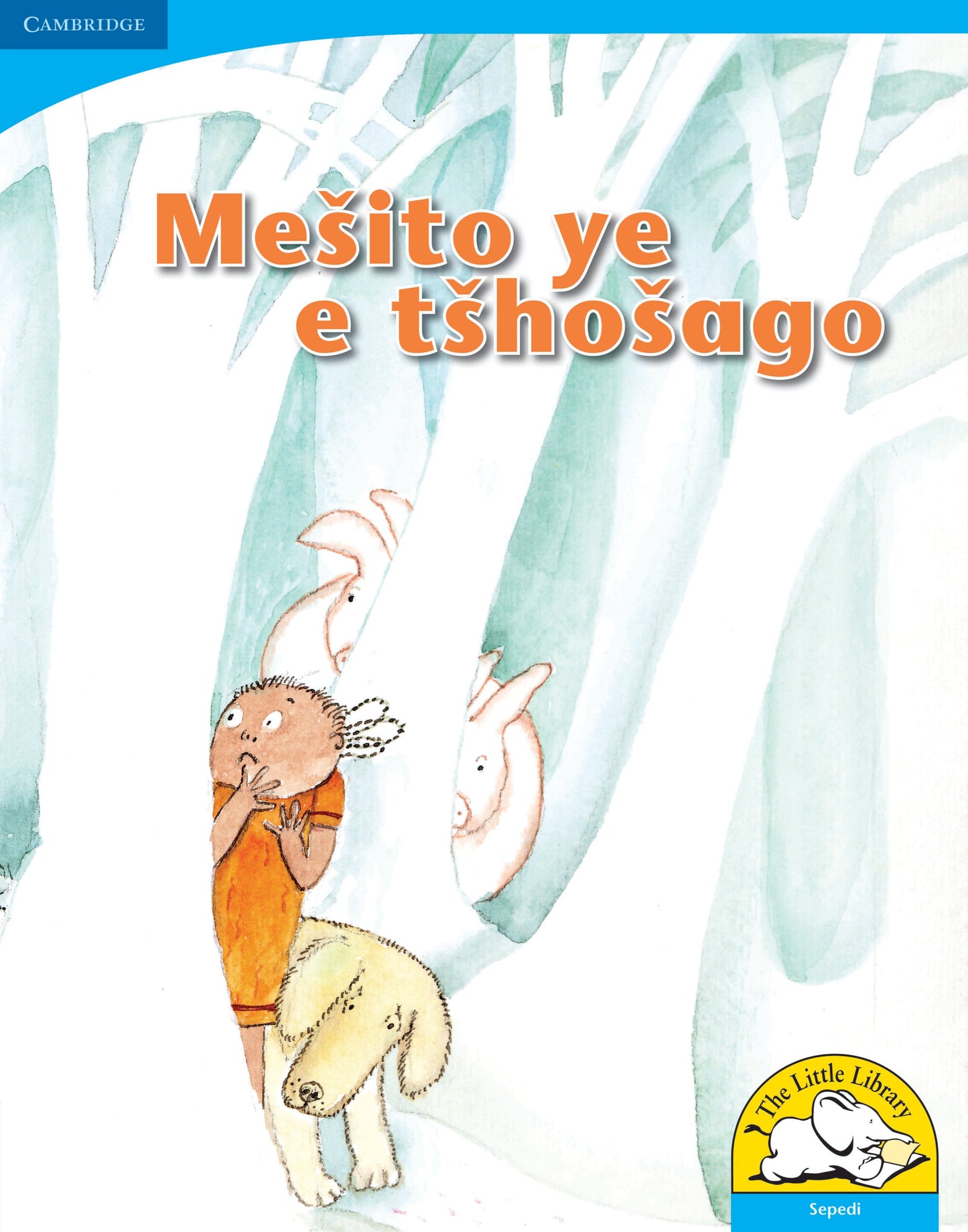 Mesito ye e tshosago (Big Book version) ISBN/SKU:9780521156073