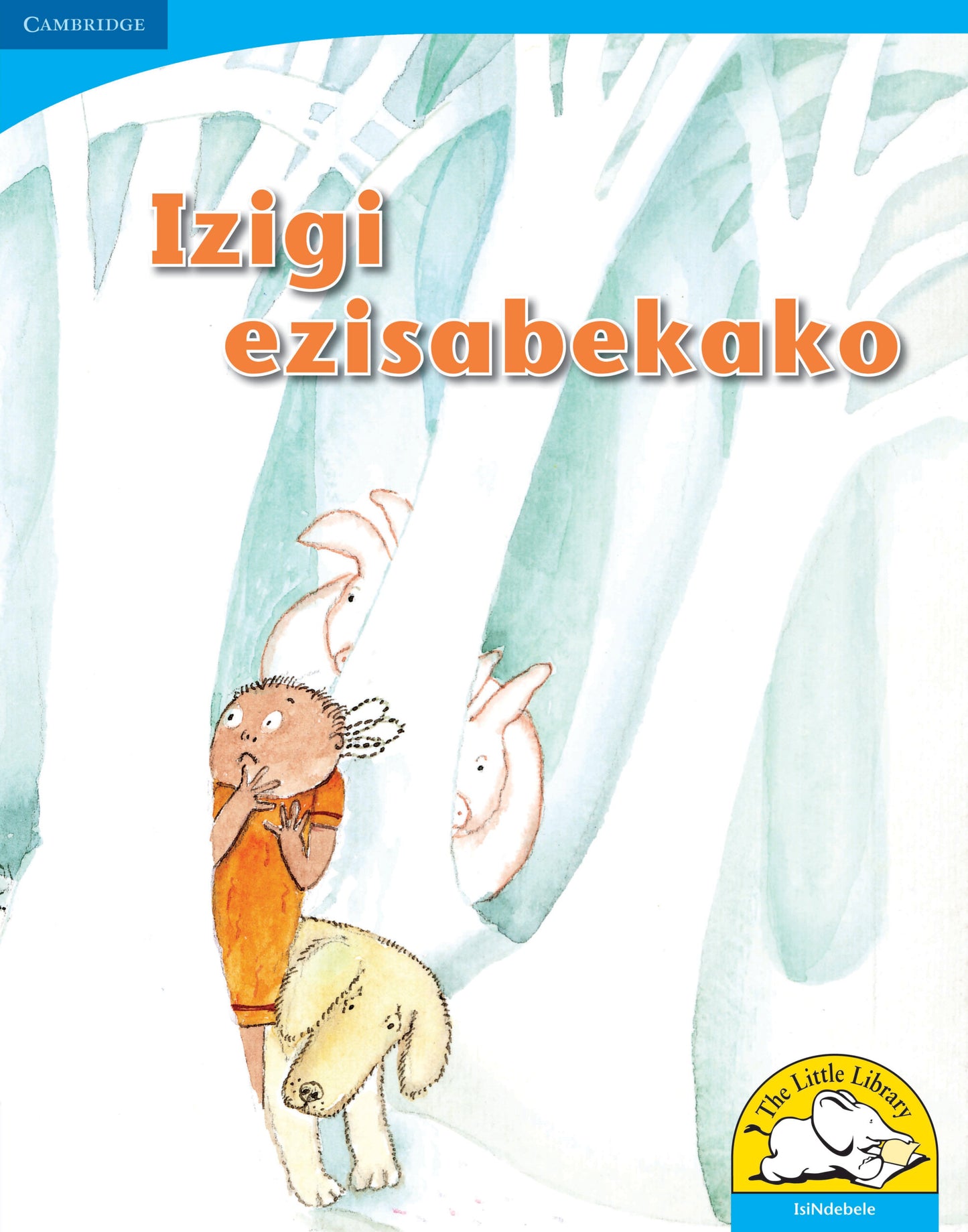 Izigi ezisabekako (Big Book version) ISBN/SKU:9780521156080