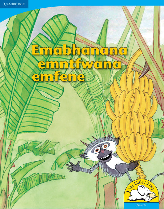 Emabhanana emntfwana wemfene (Big Book version) ISBN/SKU:9780521156394