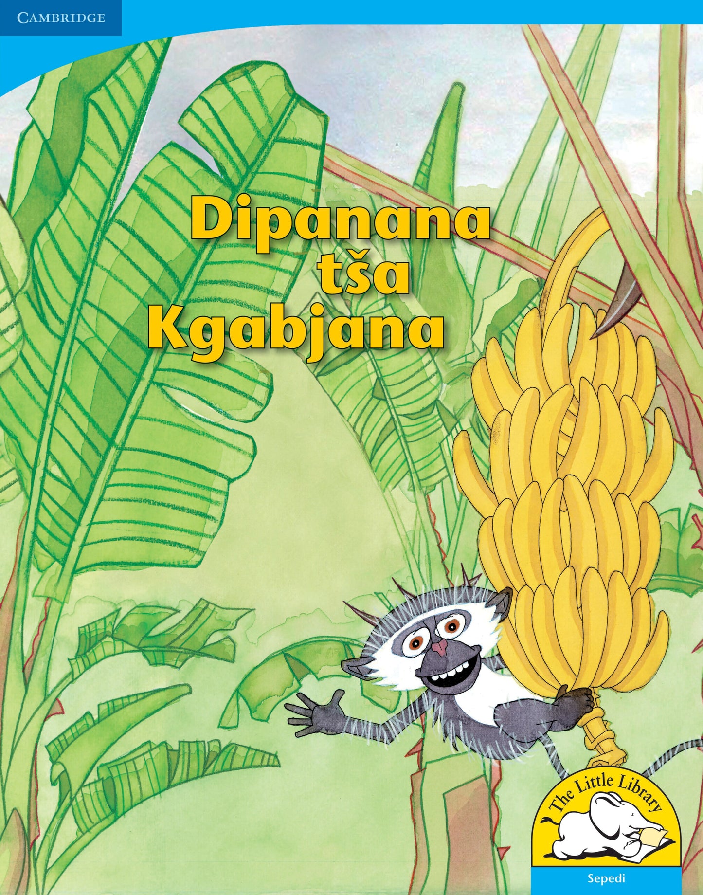 Dipanana tsa Kgabjana (Big Book version) ISBN/SKU:9780521156417