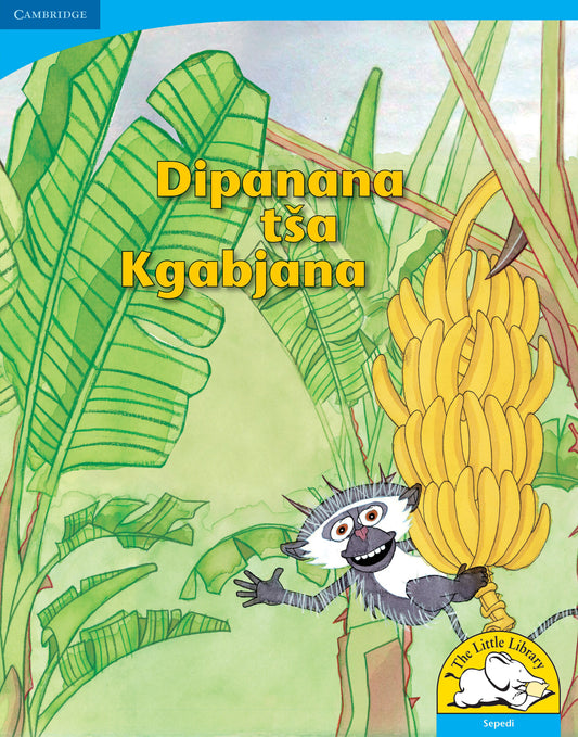Dipanana tsa Kgabjana (Big Book version) ISBN/SKU:9780521156417