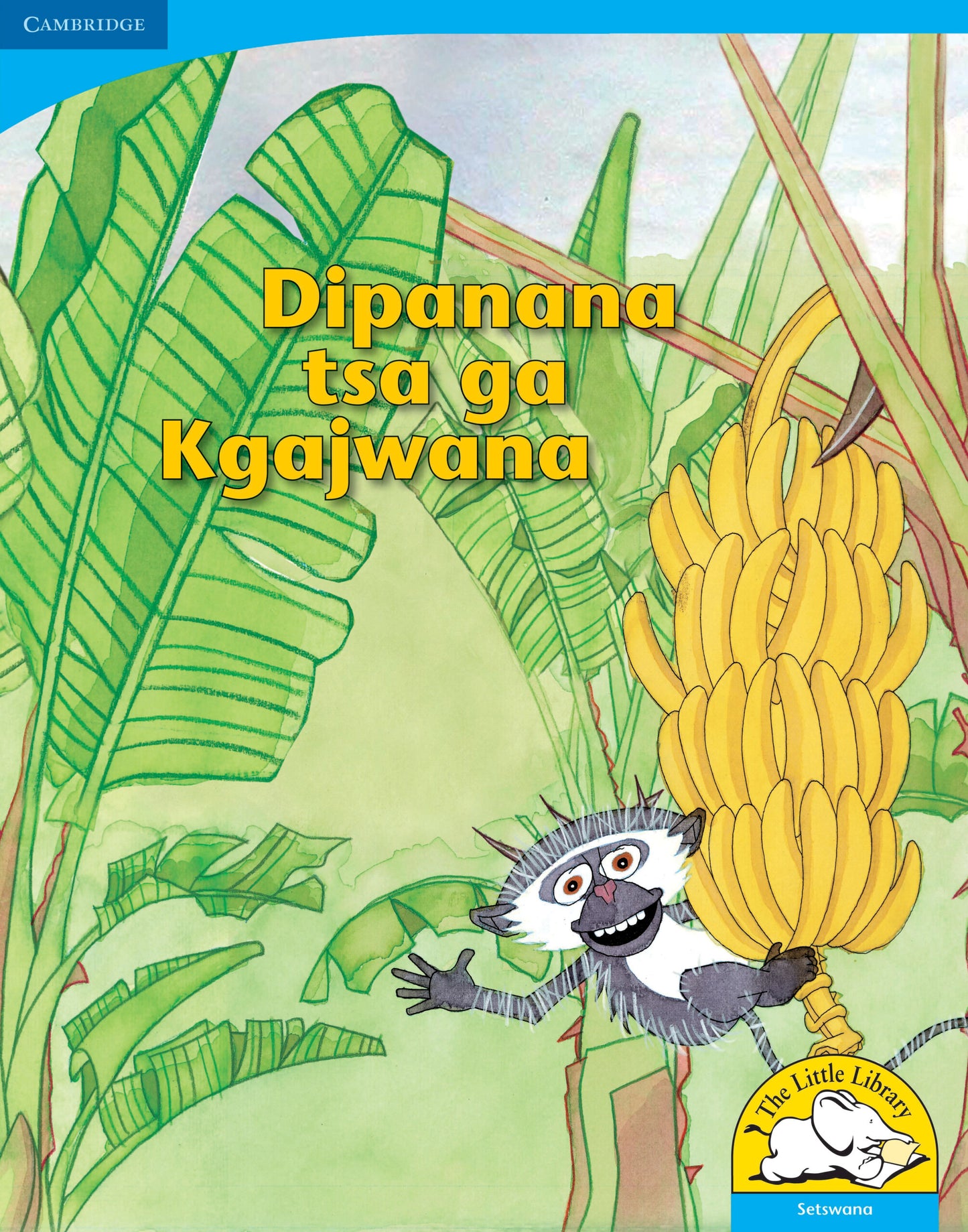 Dipanana tsa ga Kgajwana (Big Book version) ISBN/SKU:9780521156431