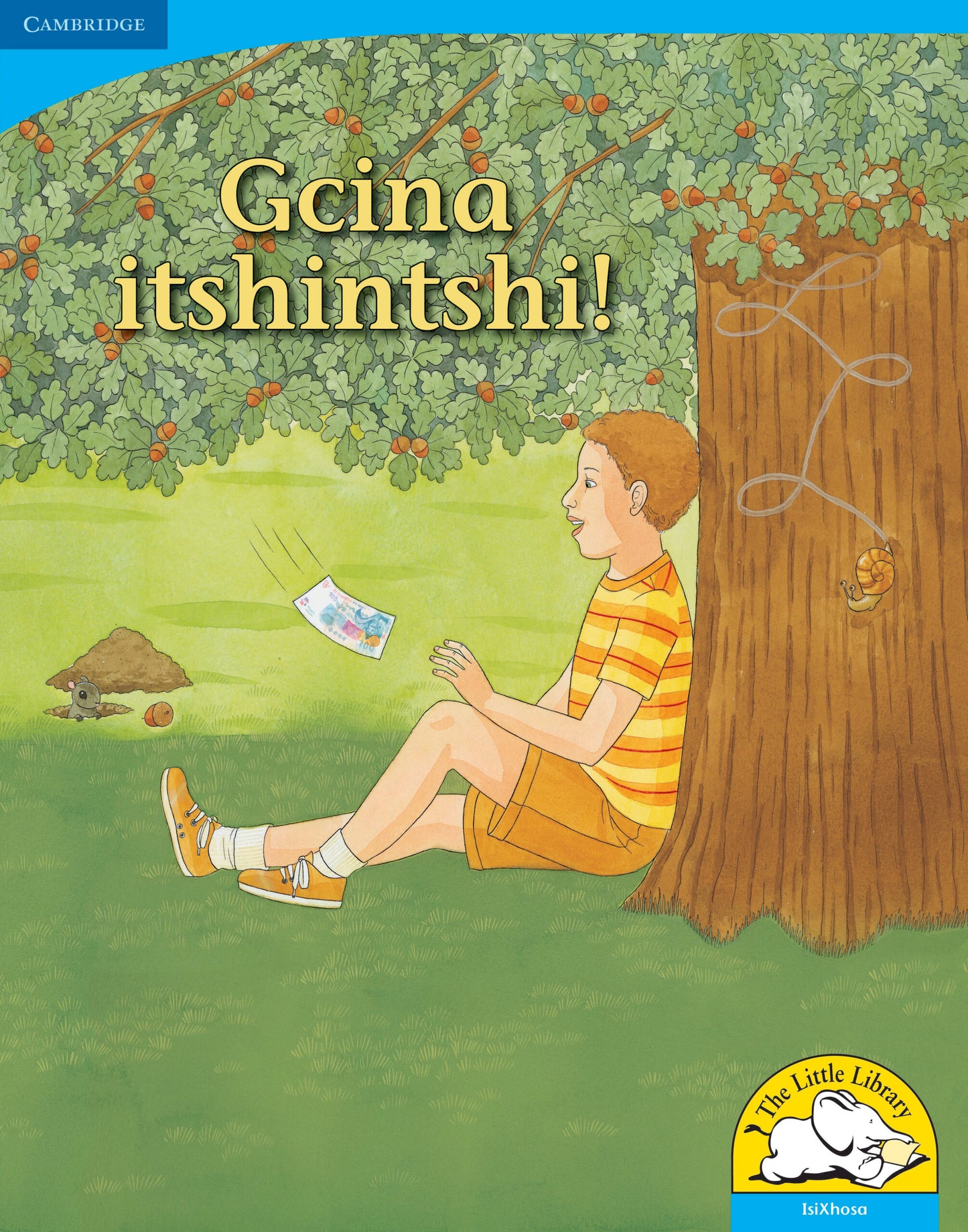 Gcina itshintshi! (Big Book version) ISBN/SKU:9780521156738