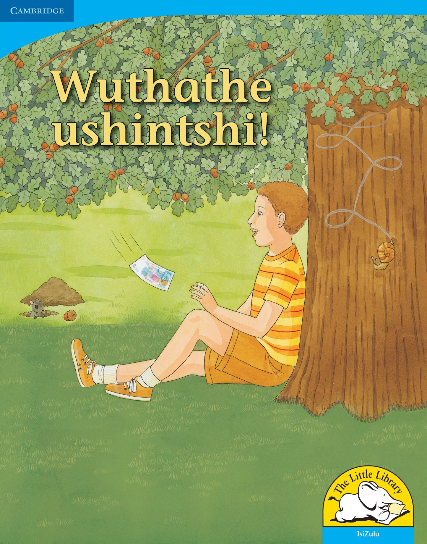 Wuthathe ushintshi! (Big Book version) ISBN/SKU:9780521156752