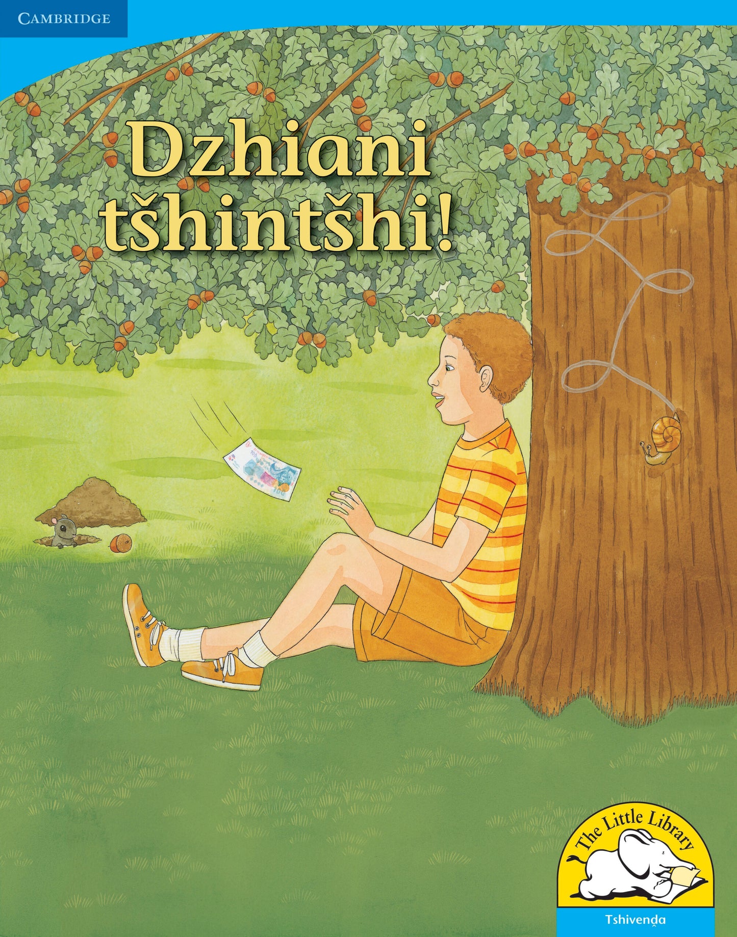 Dzhiani tshintshi! (Big Book version) ISBN/SKU:9780521156790