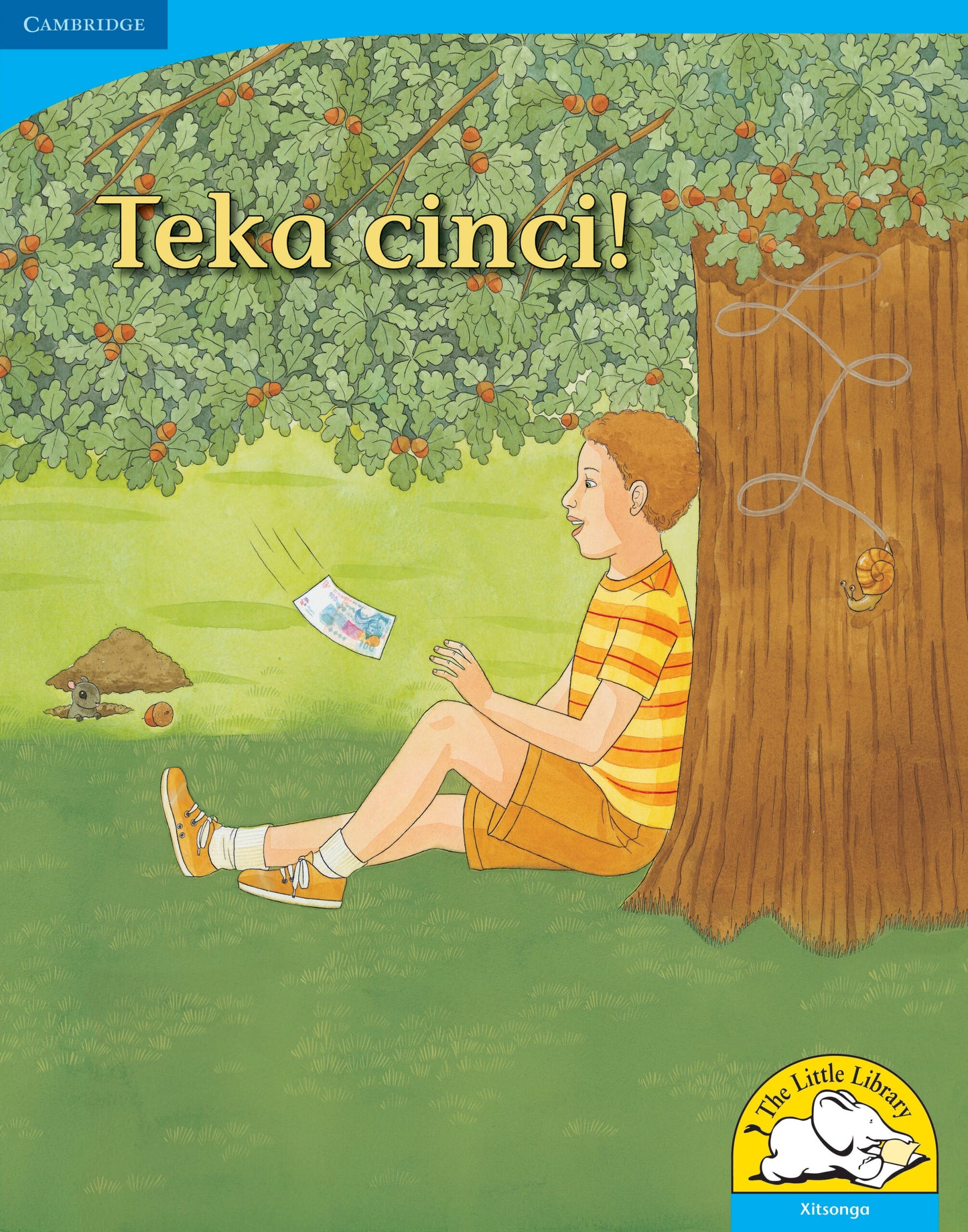 Teka cinci! (Big Book version) ISBN/SKU:9780521156837