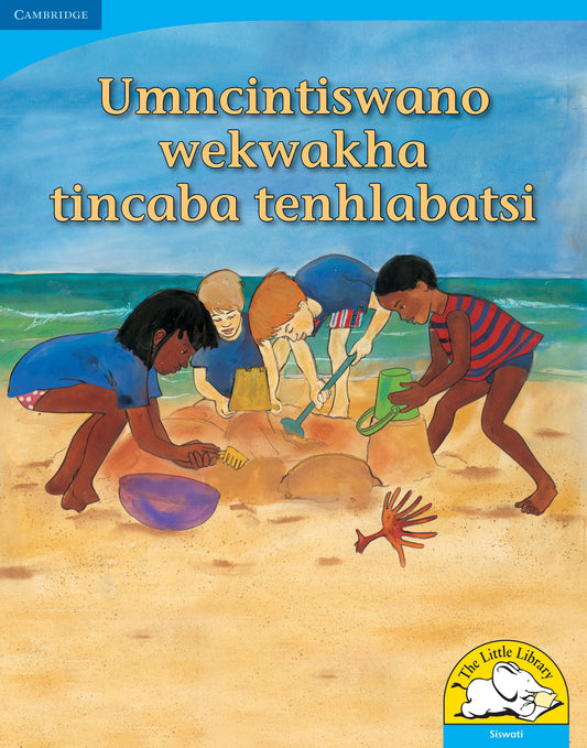 Umncintiswano wekwakha tincaba tenhlabatsi (Big Book version) ISBN/SKU:9780521159715