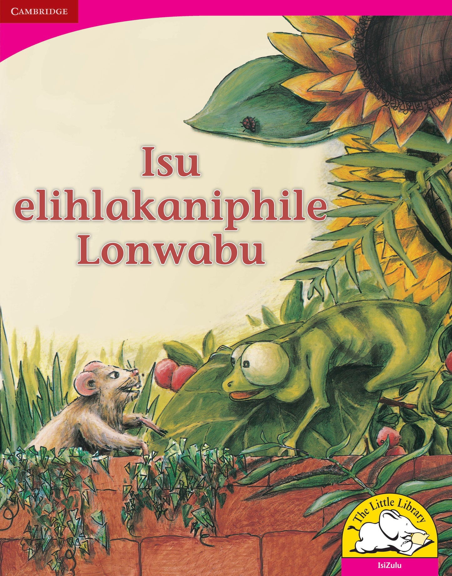 Isu elihlakaniphile Lonwabu (Big Book version) ISBN/SKU:9780521164566