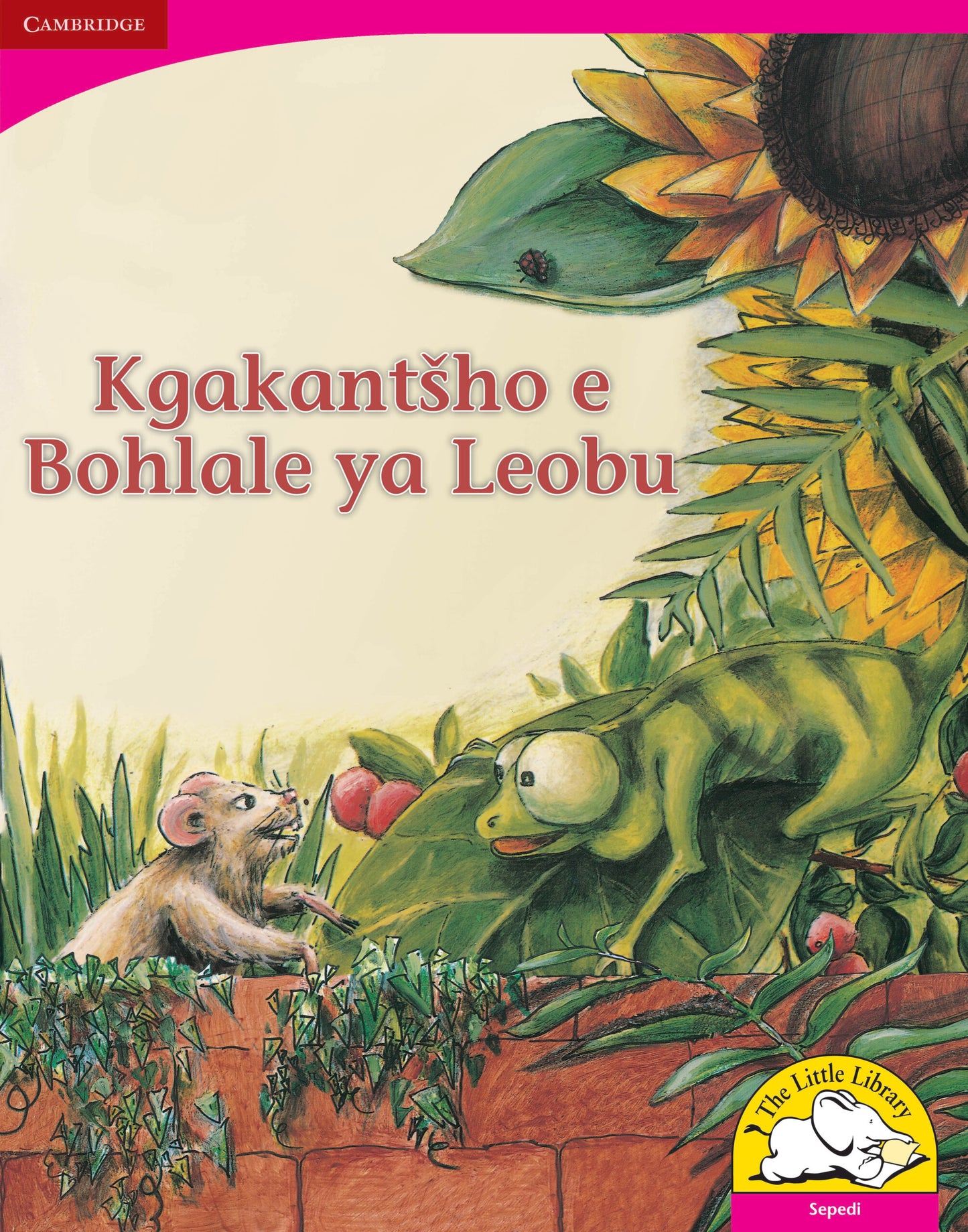 Kgakantsho e Bohlale ya Leobu (Big Book version) ISBN/SKU:9780521164610