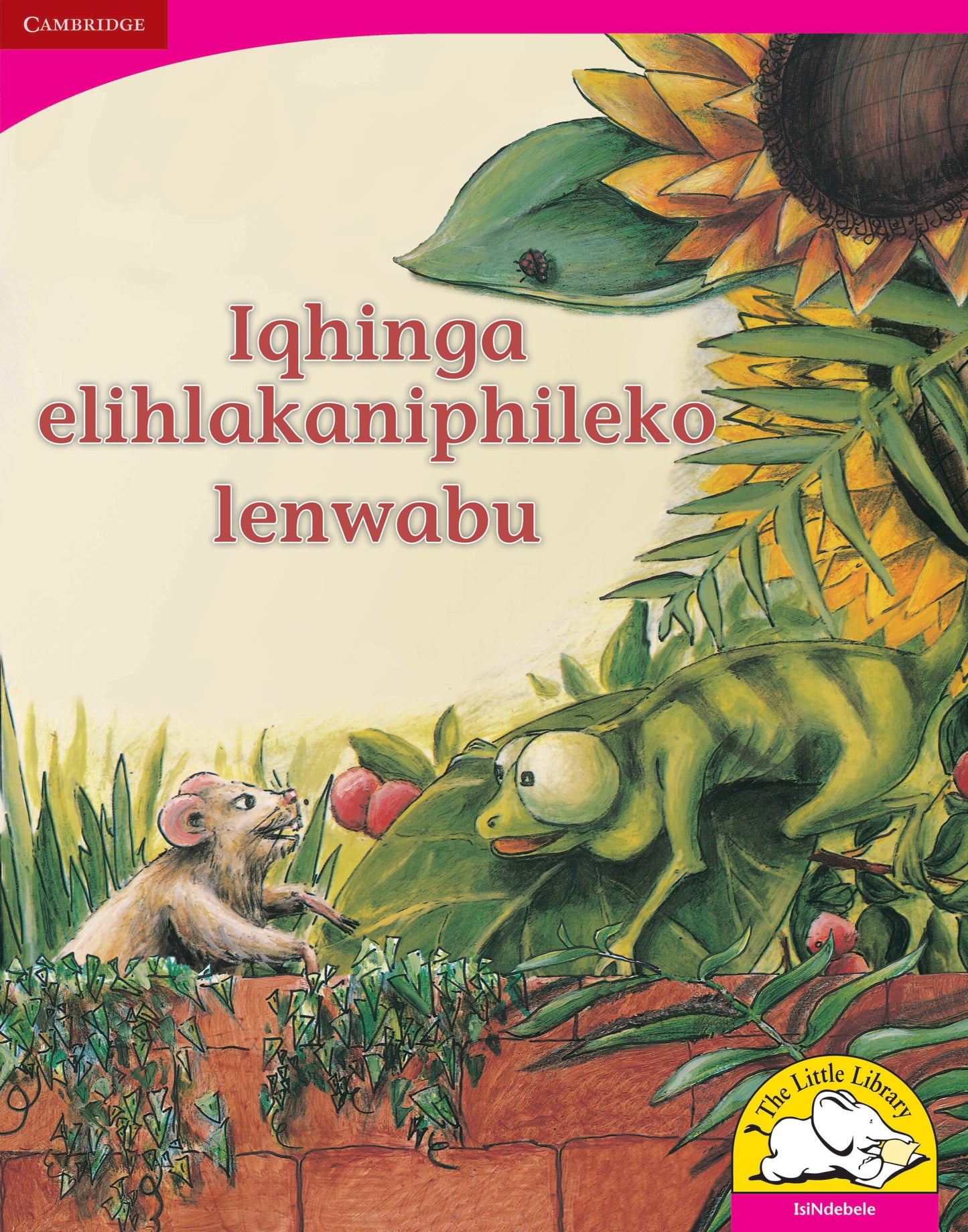 Iqhinga elihlakaniphileko lenwabu (Big Book version) ISBN/SKU:9780521164627