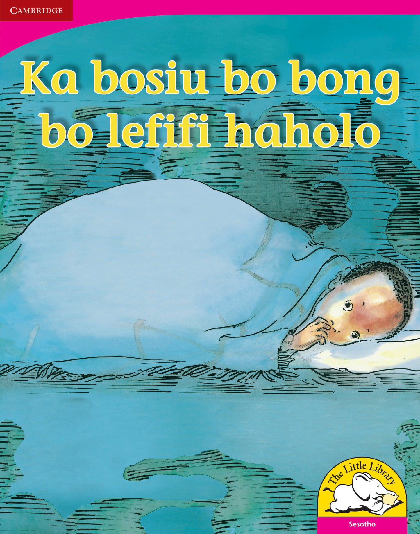 Ka bosiu bo bong bo lefifi haholo (Big Book version) ISBN/SKU:9780521165068