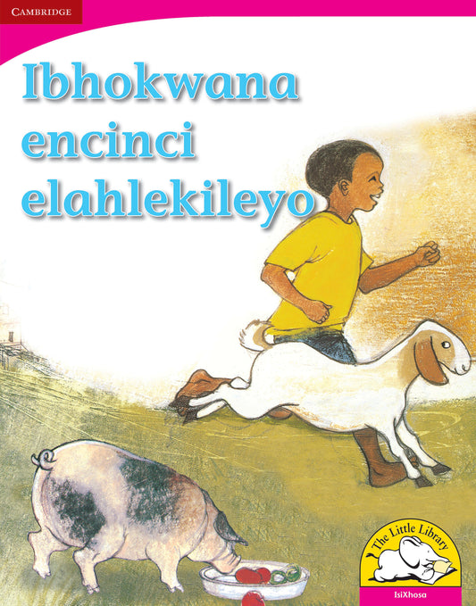 Ibhokwana encinci elahlekileyo (Big Book version) ISBN/SKU:9780521165358
