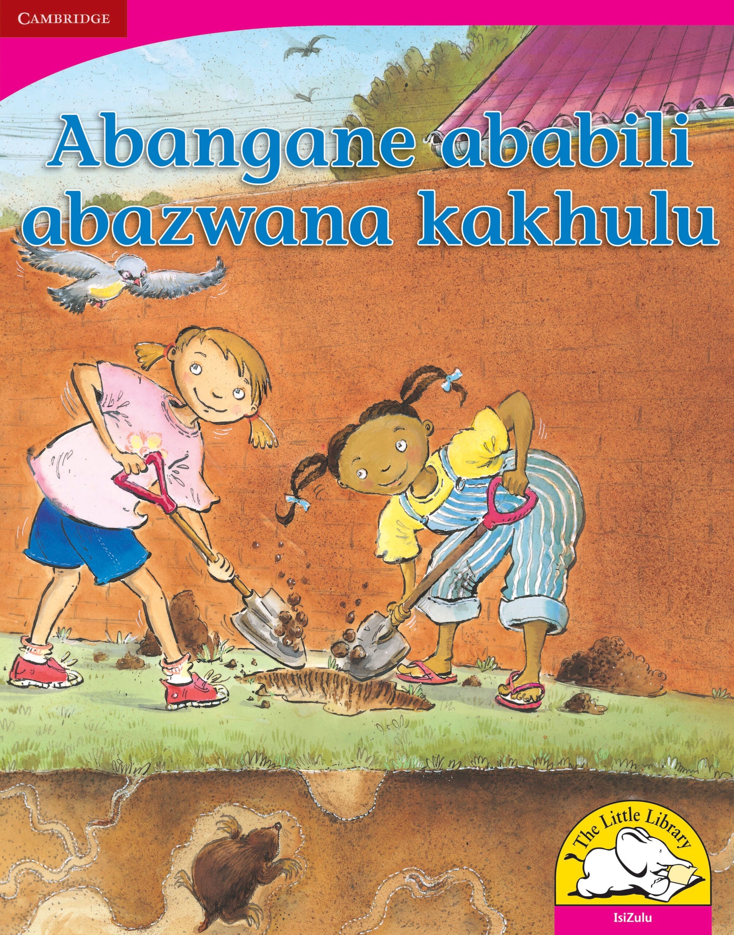 Abangane ababili abazwana kakhulu (Big Book version) ISBN/SKU:9780521166430