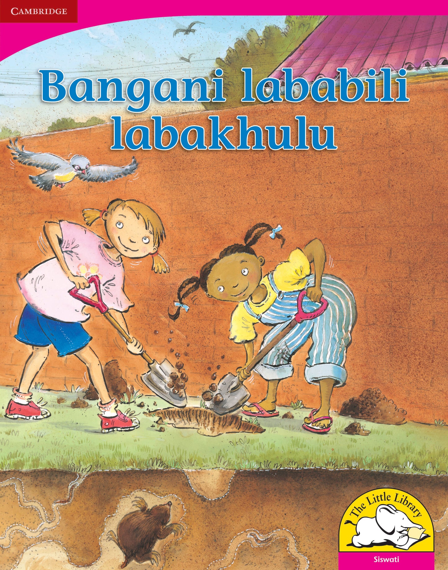 Bangani lababili labakhulu (Big Book version) ISBN/SKU:9780521166454