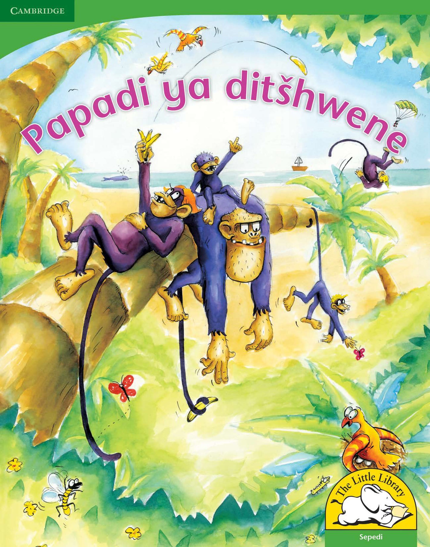 Papadi ya ditshwene (Big Book version) ISBN/SKU:9780521166942