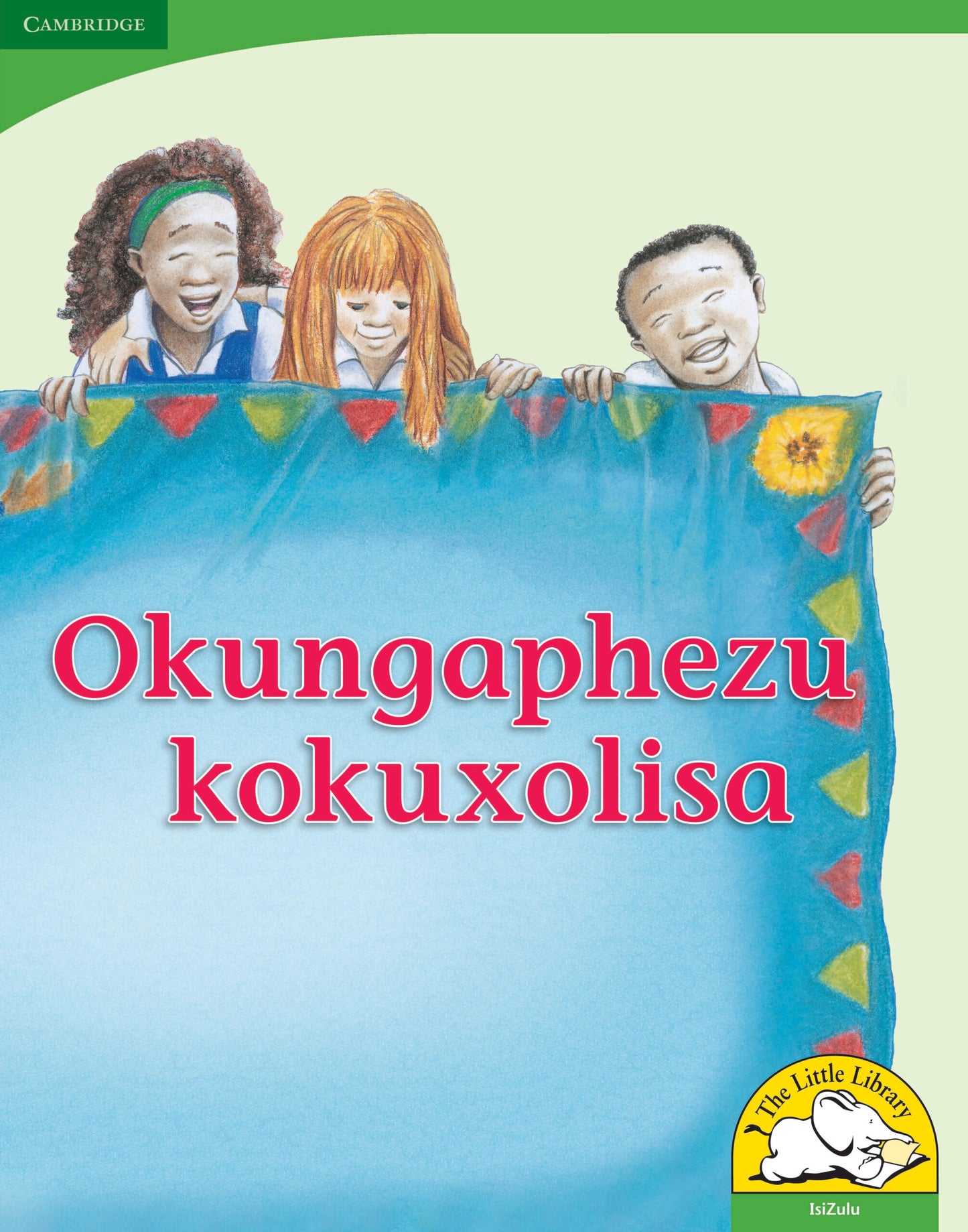 Okungaphezu kokuxolisa (Big Book version) ISBN/SKU:9780521167369