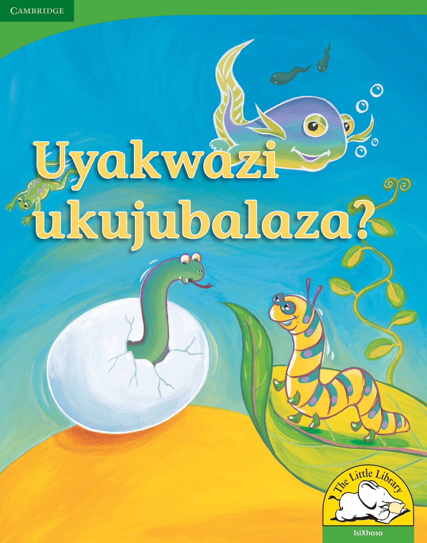 Uyakwazi ukujubalaza? (Big Book version) ISBN/SKU:9780521167475