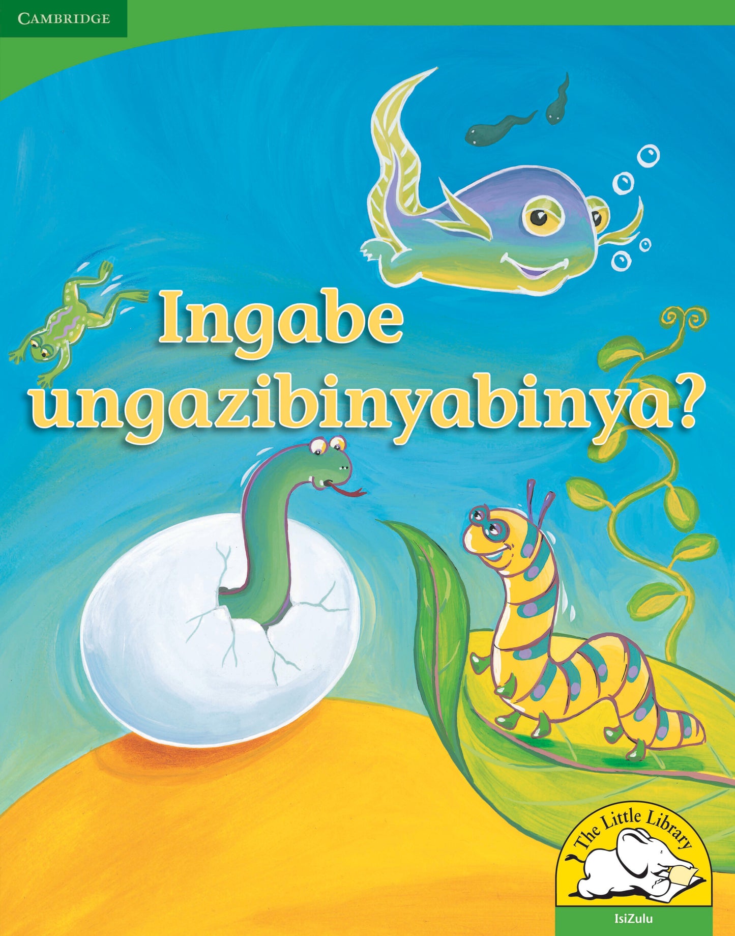 Ingabe ungazibinyabinya? (Big Book version) ISBN/SKU:9780521167499