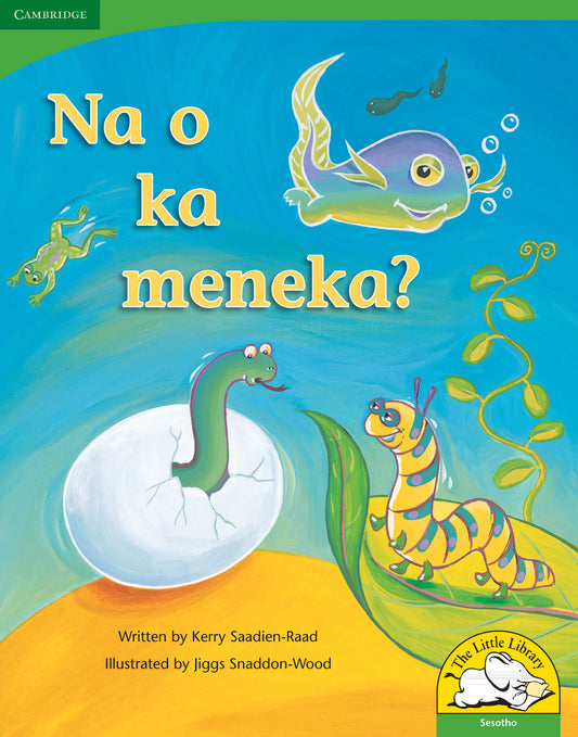 Na o ka meneka? (Big Book version) ISBN/SKU:9780521167505