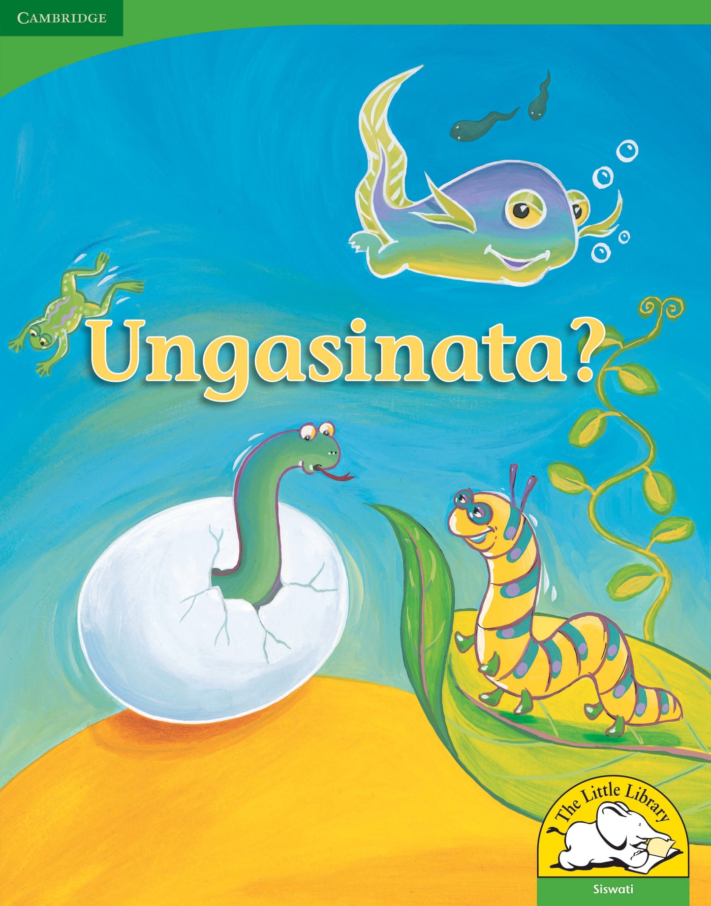 Ungasinata? (Big Book version) ISBN/SKU:9780521167512