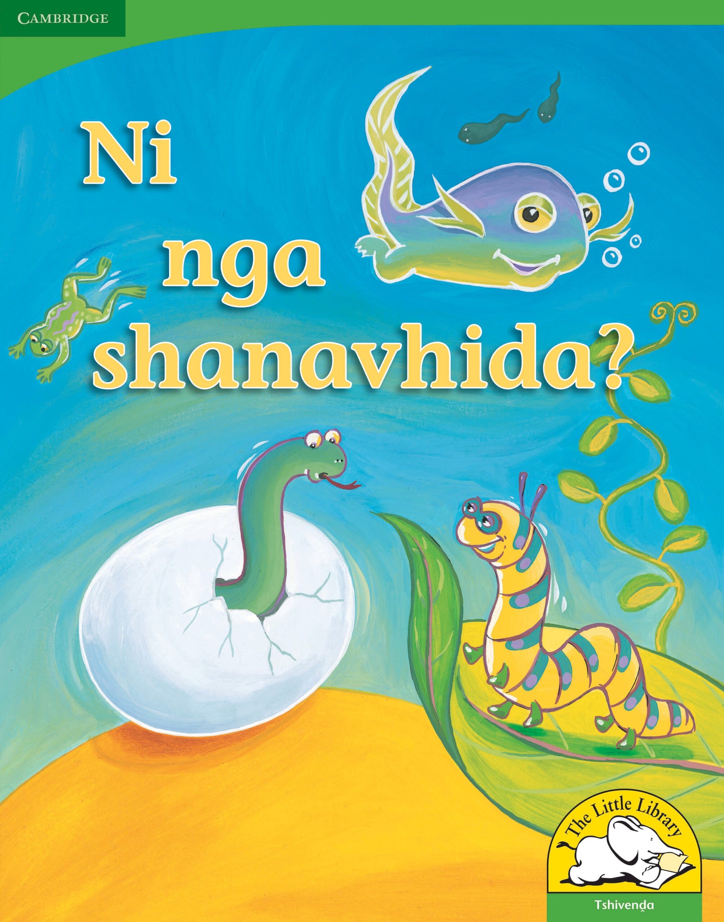 Ni nga shanavhida? (Big Book version) ISBN/SKU:9780521167529