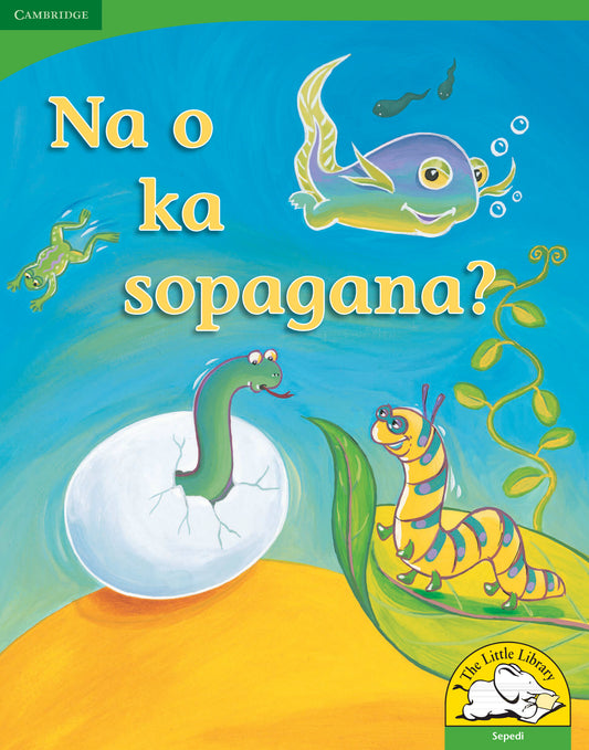 Na o ka sopagana? (Big Book version) ISBN/SKU:9780521167536