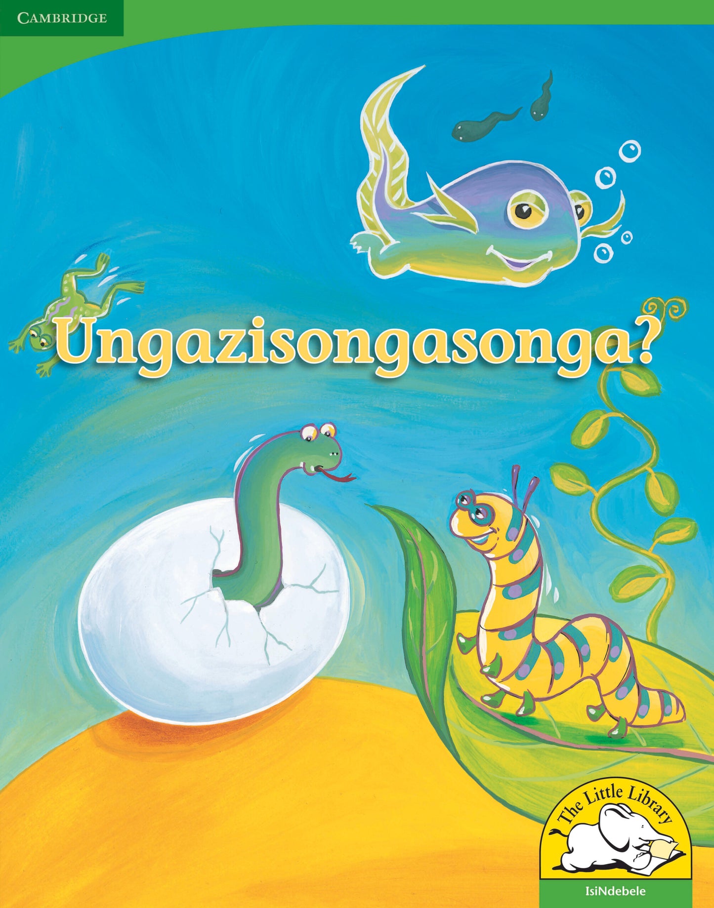 Ungazisongasonga? (Big Book version) ISBN/SKU:9780521167543